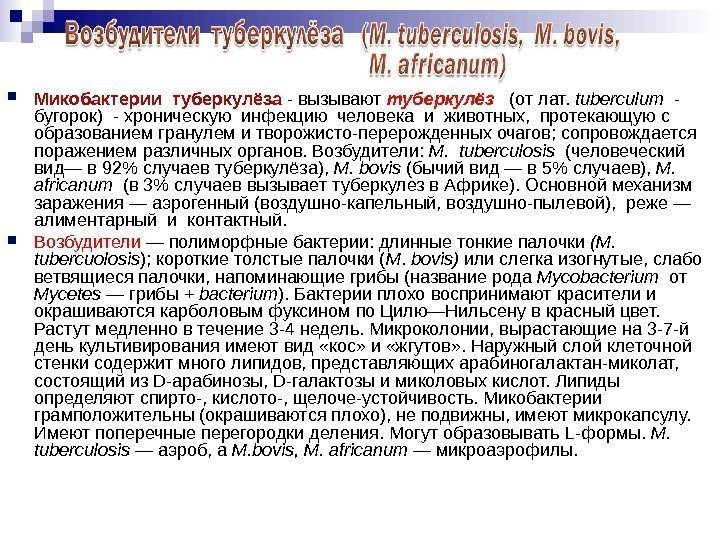 Микобактерии туберкулёза - вызывают туберкулёз (от лат. tuberculum - Микобактерии туберкулёза - вызывают туберкулёз (от лат. tuberculum -