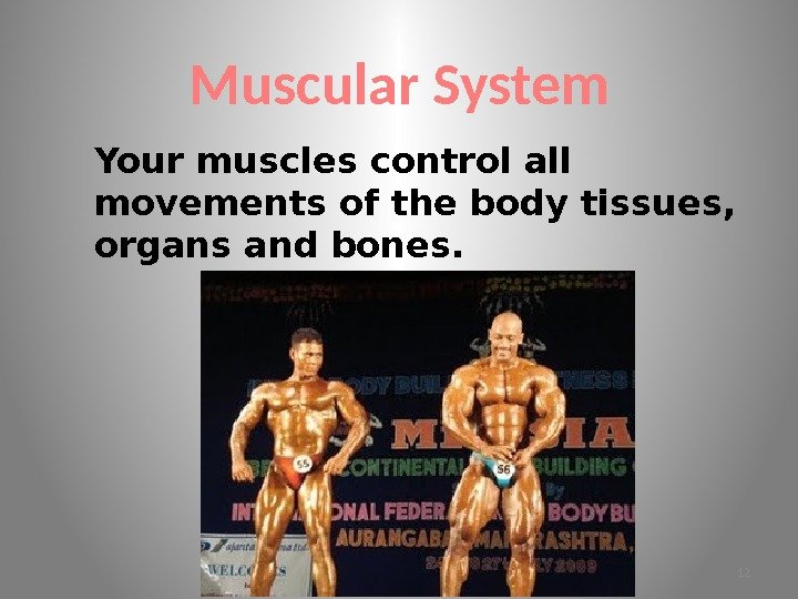 Muscular System Your muscles control all movements of the body tissues,  organs and