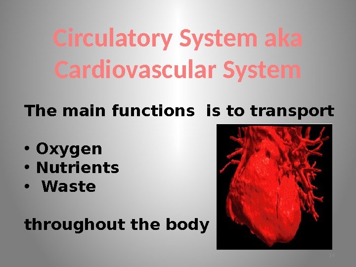 Circulatory System aka Cardiovascular System The main functions is to transport • Oxygen •