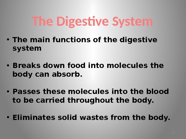 The Digestive System • The main functions of the digestive system  • Breaks