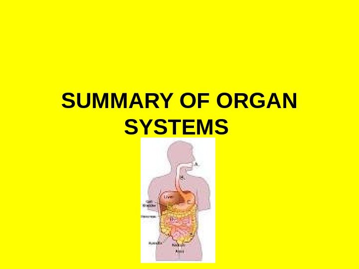 SUMMARY OF ORGAN SYSTEMS  