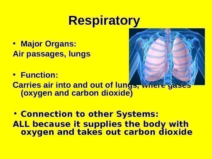 Respiratory  • Major Organs: Air passages, lungs  • Function:  Carries air