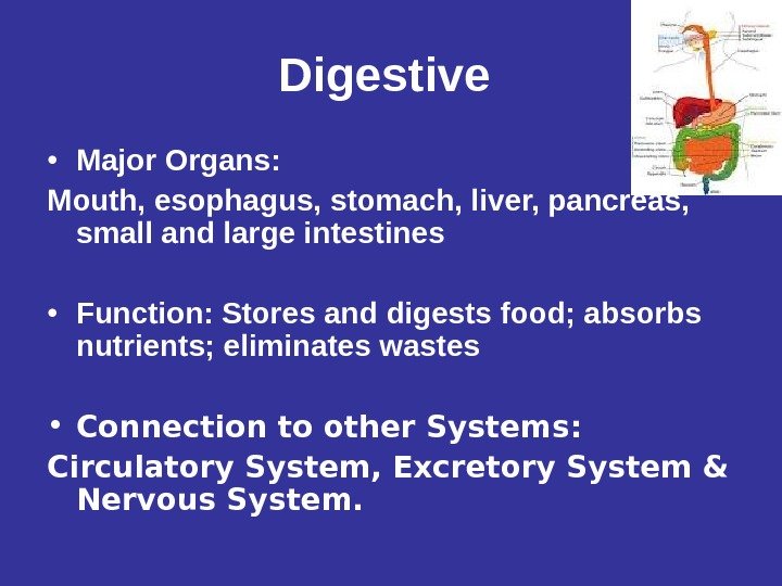 Digestive  • Major Organs: Mouth, esophagus, stomach, liver, pancreas,  small and large