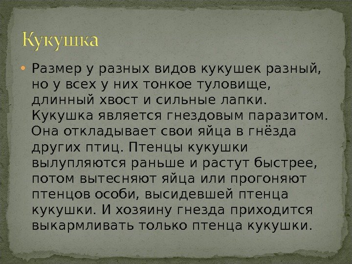 Размер у разных видов кукушек разный, но у всех у них тонкое Размер у разных видов кукушек разный, но у всех у них тонкое