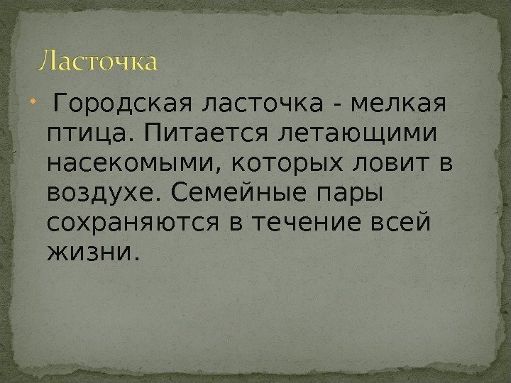 Городская ласточка - мелкая птица. Питается летающими насекомыми, которых ловит в воздухе. Городская ласточка - мелкая птица. Питается летающими насекомыми, которых ловит в воздухе.
