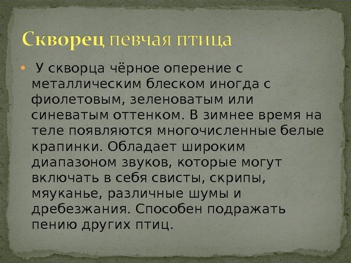 У скворца чёрное оперение с металлическим блеском иногда с фиолетовым, зеленоватым или У скворца чёрное оперение с металлическим блеском иногда с фиолетовым, зеленоватым или