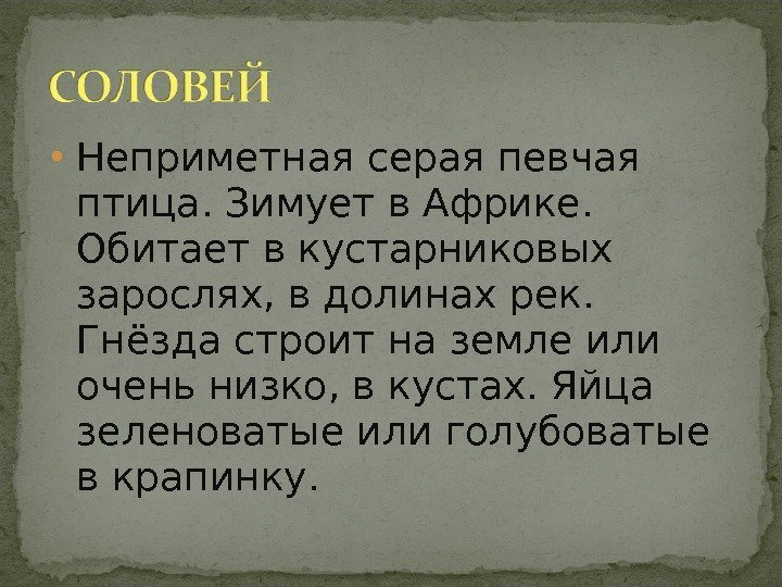 • Неприметная серая певчая птица. Зимует в Африке. Обитает в кустарниковых зарослях, • Неприметная серая певчая птица. Зимует в Африке. Обитает в кустарниковых зарослях,