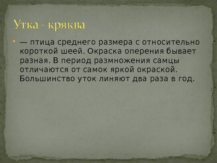 — птица среднего размера с относительно короткой шеей. Окраска оперения бывает разная. В — птица среднего размера с относительно короткой шеей. Окраска оперения бывает разная. В
