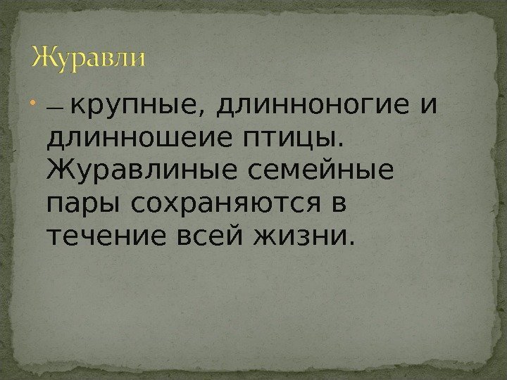 — крупные, длинноногие и длинношеие птицы. Журавлиные семейные пары сохраняются в течение — крупные, длинноногие и длинношеие птицы. Журавлиные семейные пары сохраняются в течение