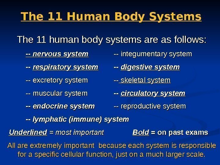 The 11 Human Body Systems The 11 human body systems are as follows: --