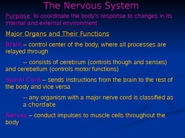 The Nervous System Purpose : to coordinate the body’s response to changes in its