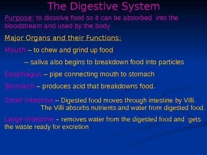 The Digestive System Purpose:  to dissolve food so it can be absorbed into