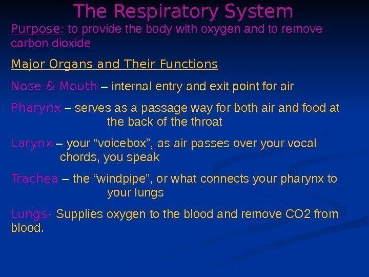 The Respiratory System Purpose:  to provide the body with oxygen and to remove