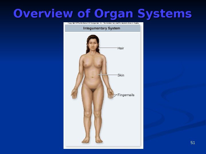 51 Overview of Organ Systems 