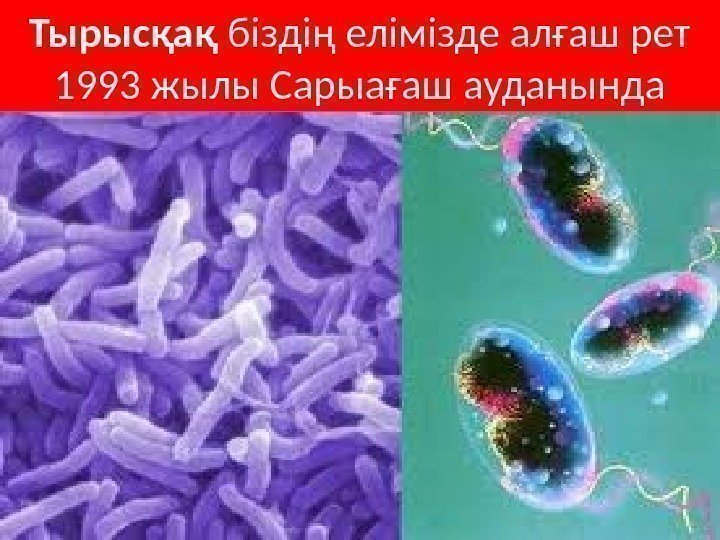 Тырысқақ бiздiң елiмiзде алғаш рет 1993 жылы Сарыағаш ауданында 