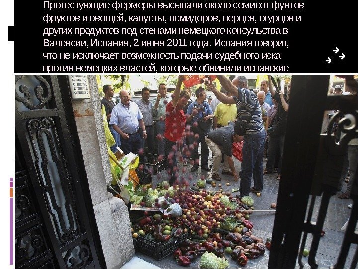 Протестующие фермеры высыпали около семисот фунтов фруктов и овощей, капусты, помидоров, перцев, огурцов и