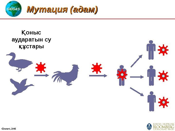 GIDSAS Chotani, 2005 Мутация ( адам )) оныс Қ аударатын су стары құ 