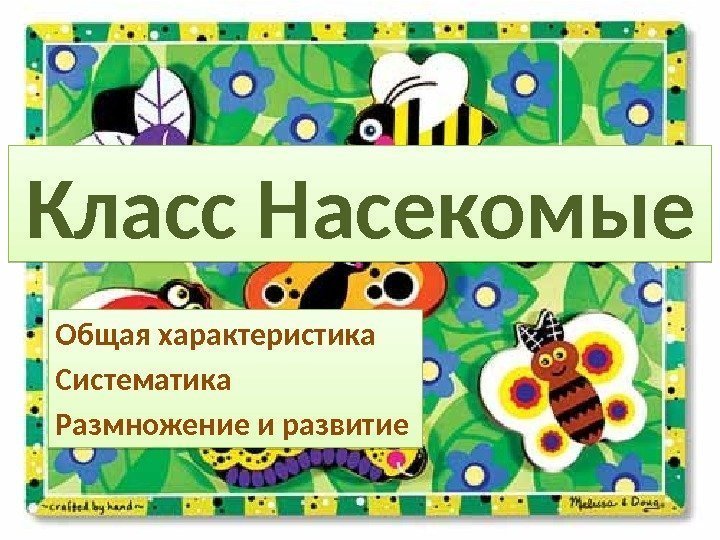 Класс Насекомые Общая характеристика Систематика Размножение и развитие 0102 0 C 14 15 