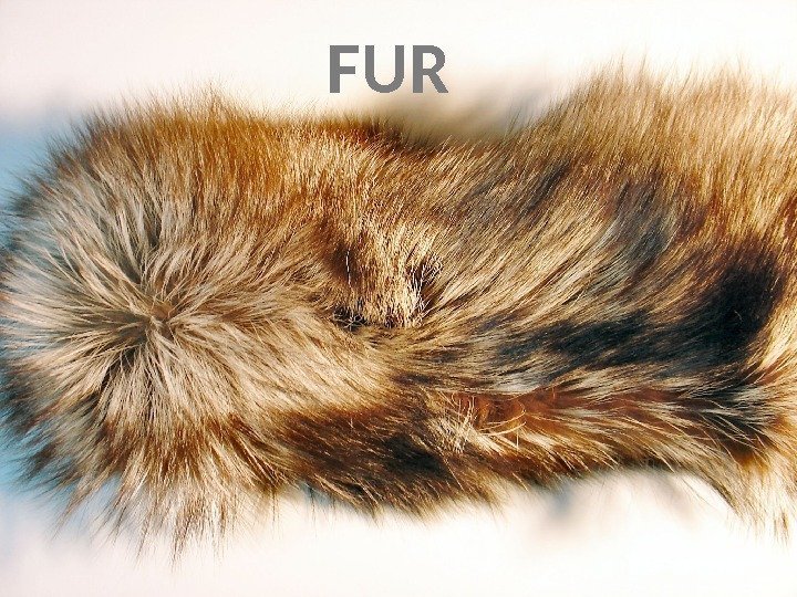 FUR 