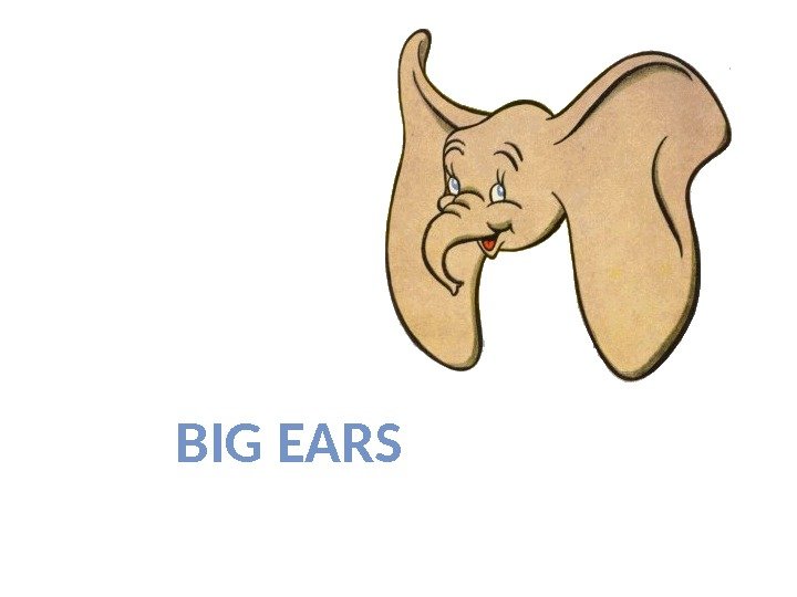 BIG EARS 