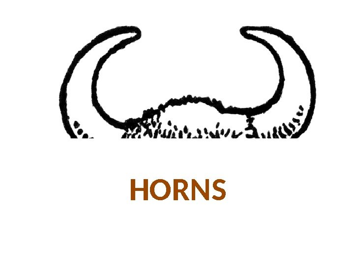 HORNS 