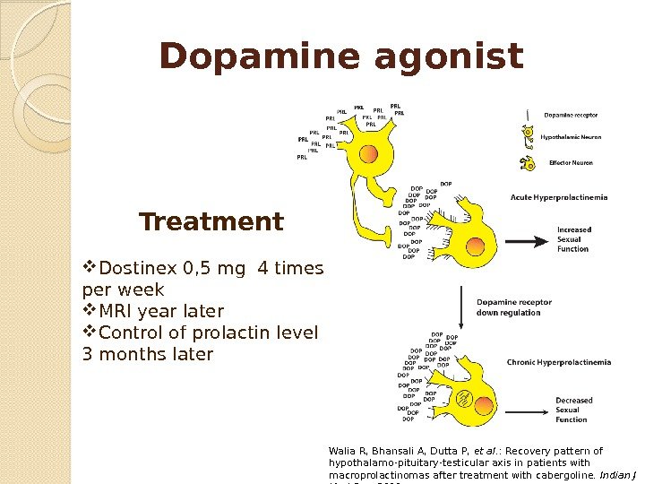  Dopamine agonist Treatment Dostinex 0, 5 mg 4 times per week MRI year