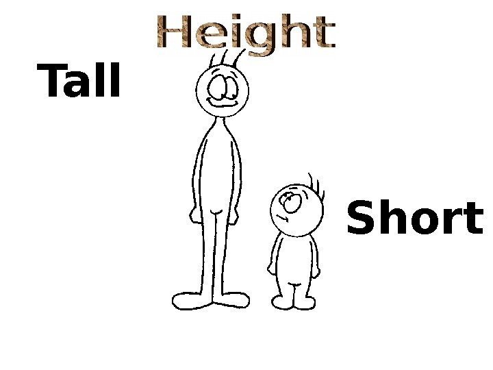 Tall  Short 