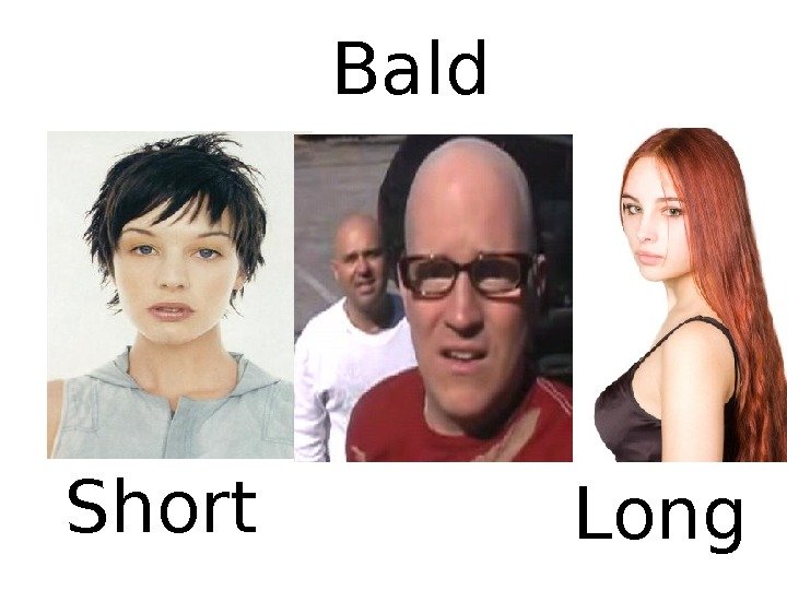 Short Long. Bald 