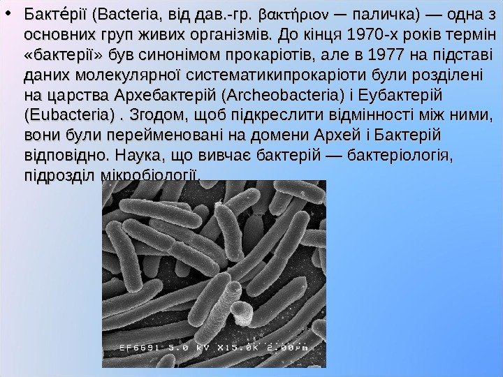  • Бакт рії (Bacteria, від дав. -гр. ее βακτήριον — паличка) — одна