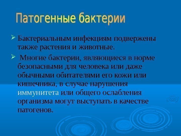  Бактериальным инфекциям подвержены также растения и животные. Многие бактерии, являющиеся в норме безопасными