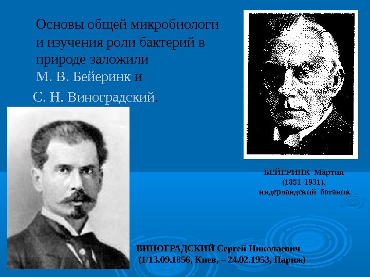   Основы общей микробиологи и изучения роли бактерий в природе заложили М. В.