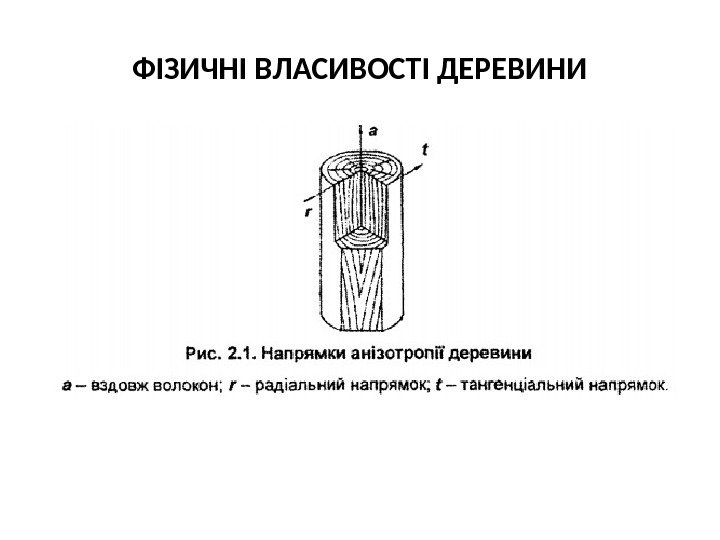 ФІЗИЧНІ ВЛАСИВОСТІ ДЕРЕВИНИ 