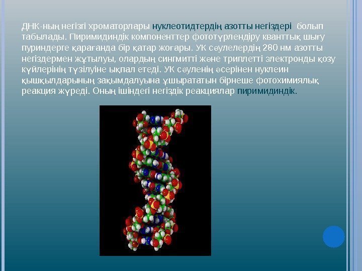 ДНК-ны негізгі хроматорлары ң нуклеотидтерді азотты негіздері ң болып табылады. Пиримидиндік компоненттер фотот рлендіру