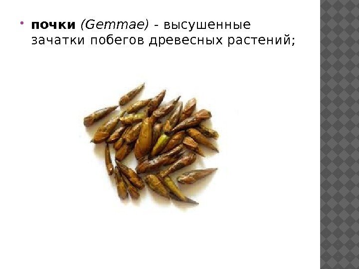  почки (Gemmae) - высушенные зачатки побегов древесных растений; 