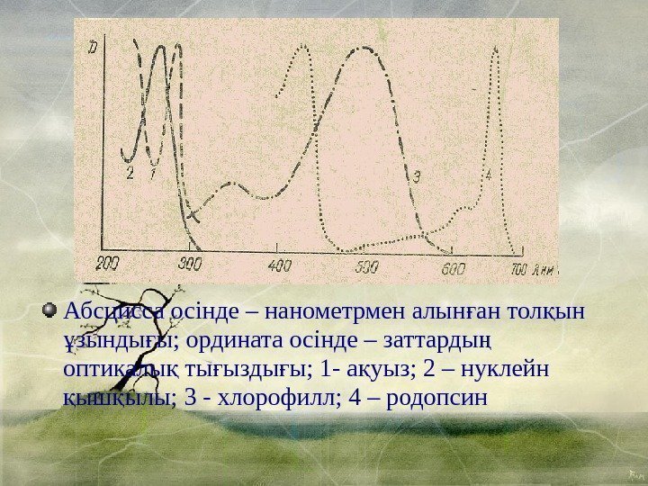 Абсцисса осінде – нанометрмен алын ан тол ын ғ қ зынды ы; ордината осінде