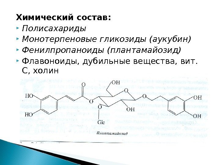 Химический состав:  Полисахариды Монотерпеновые гликозиды (аукубин) Фенилпропаноиды (плантамайозид) Флавоноиды, дубильные вещества, вит. 