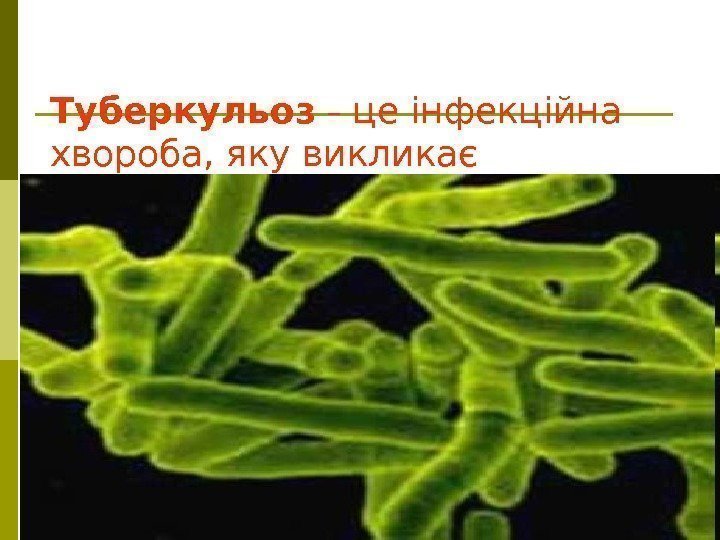 Туберкульоз – це інфекційна хвороба, яку викликає надзвичайно стійкий у зовнішньому середовищі збудник –