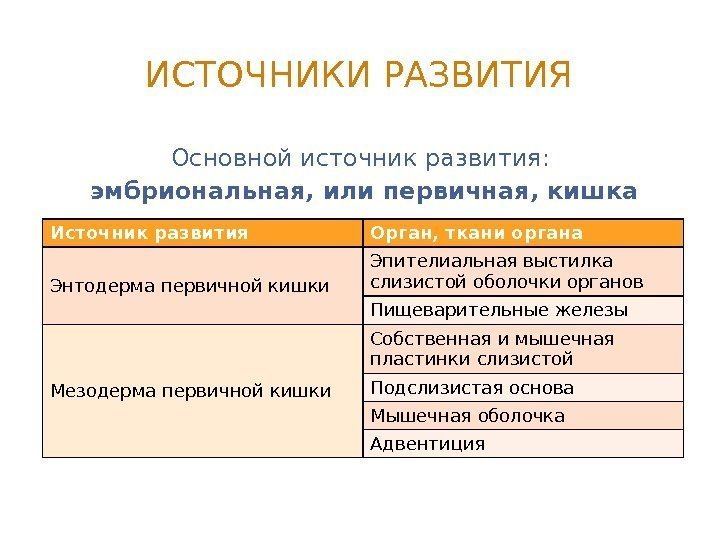 ИСТОЧНИКИ РАЗВИТИЯ Основной источник развития:  эмбриональная, или первичная, кишка Источник развития Орган, ткани