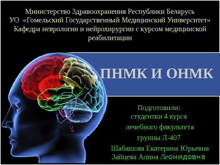 ПНМК  И ОНМК Подготовили:  студентки 4 курса лечебного факультета группы Л-407 Шабашова