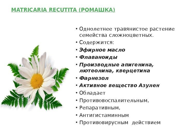 MATRICARIA RECUTITA ( РОМАШКА ) • Однолетнее травянистое растение семейства сложноцветных.  • Содержится: