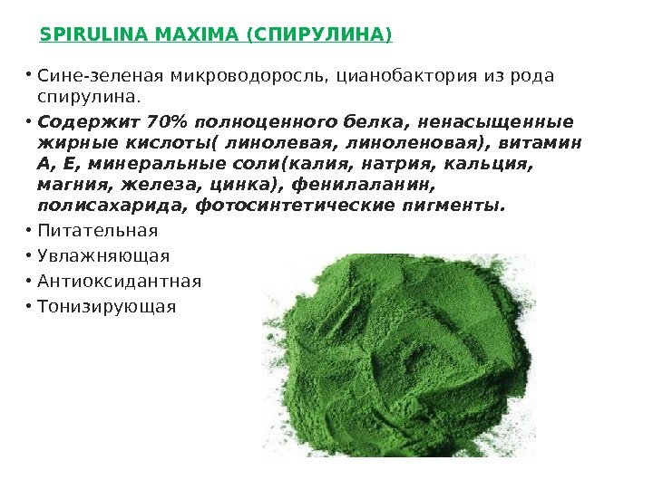 SPIRULINA MAXIMA ( СПИРУЛИНА ) • Сине-зеленая микроводоросль, цианобактория из рода спирулина.  •