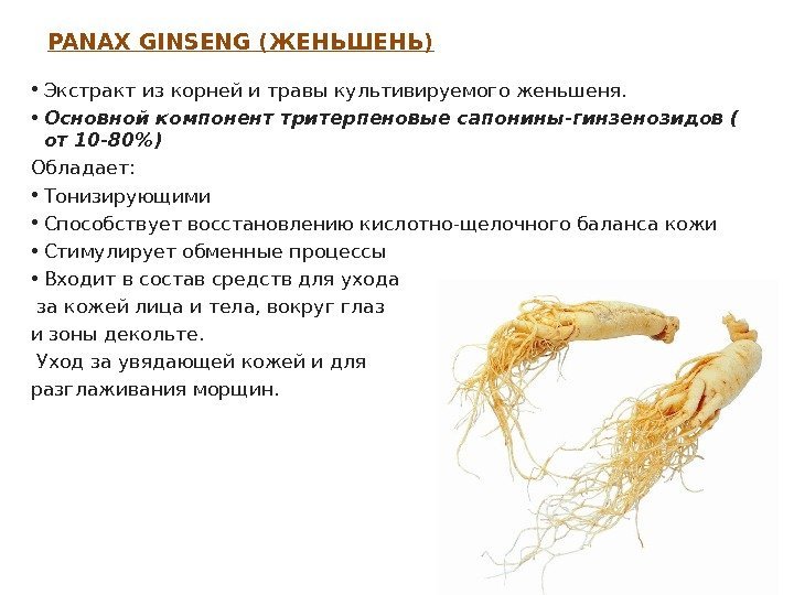 PANAX GINSENG ( ЖЕНЬШЕНЬ) • Экстракт из корней и травы культивируемого женьшеня.  •