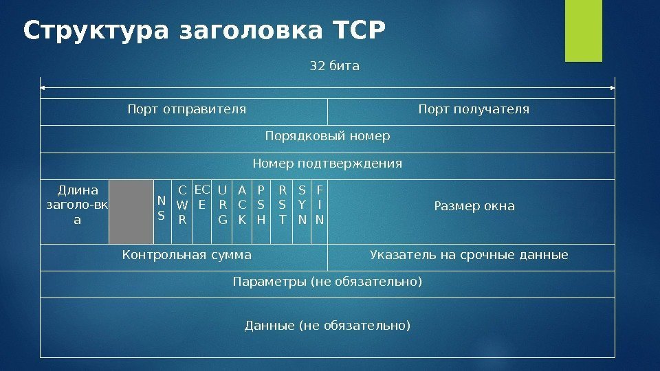Структура заголовка TCP N S C W R EC E U R G A