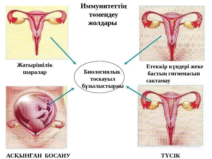 Т СІКҮАС ЫН АН БОСАНУҚ Ғ Биологиялы  қ тос ауыл қ б зылыстыраы