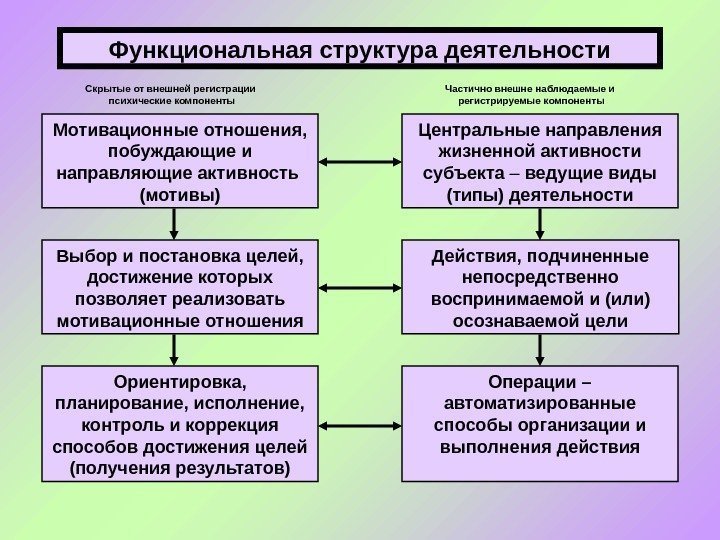Функциональная структура деятельности Мотивационные отношения,  побуждающие и направляющие активность (мотивы) Центральные направления жизненной