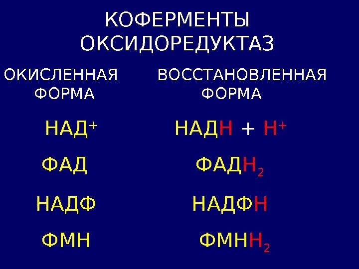 КОФЕРМЕНТЫ ОКСИДОРЕДУКТАЗ ОКИСЛЕННАЯ  ВОССТАНОВЛЕННАЯ  ФОРМА   НАД +   НАД