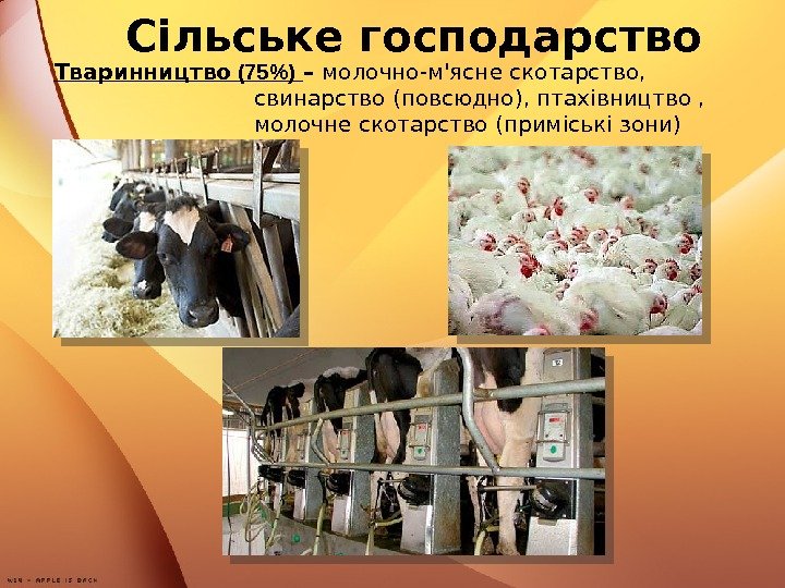 Сільське господарство Тваринництво (75)  – молочно-м'ясне скотарство,  свинарство (повсюдно), птахівництво , 
