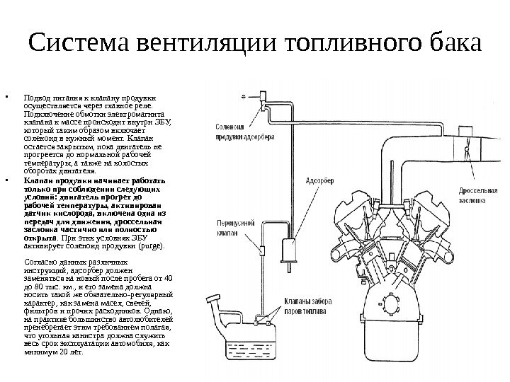 Система вентиляции топливного бака • Подвод питания к клапану продувки осуществляется через главное реле.
