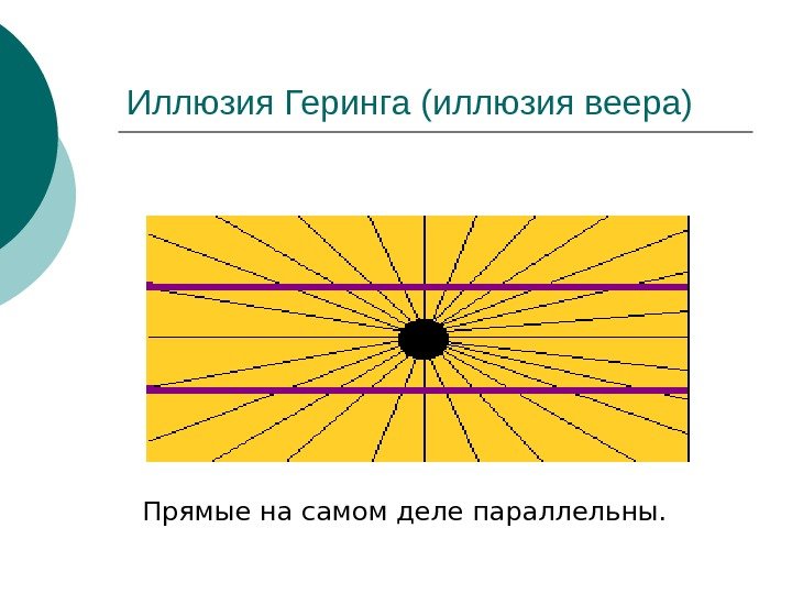   Иллюзия Геринга (иллюзия веера) Прямые на самом деле параллельны. 