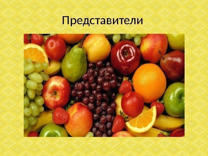 Представители 